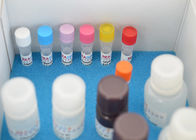 Rapid Quantitative Vitamin Test Kit Vitamin B12 ELISA Test Kit For Research